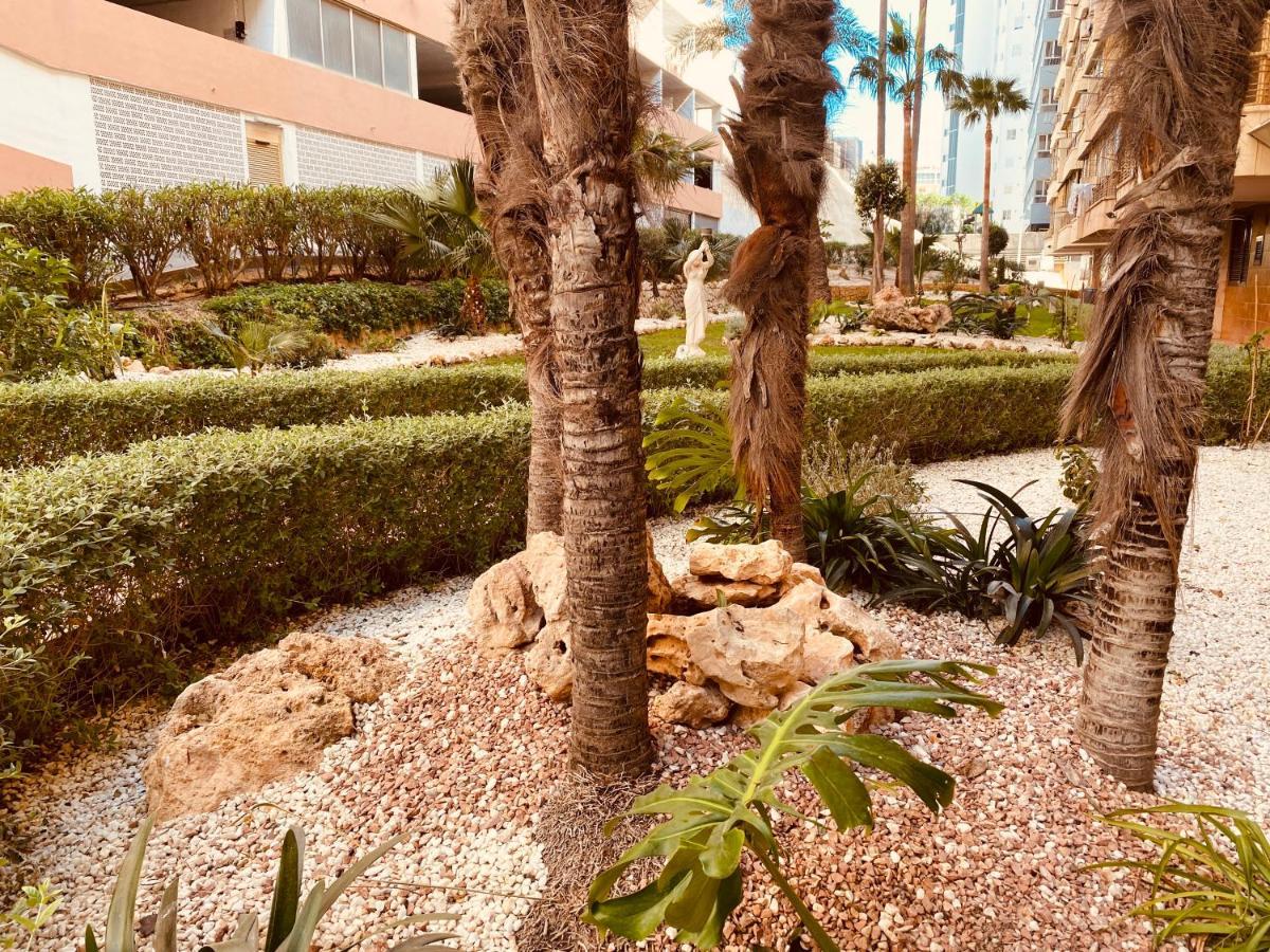 Be Luxury Apartment 20 Mts From The Beach Benidorm Kültér fotó